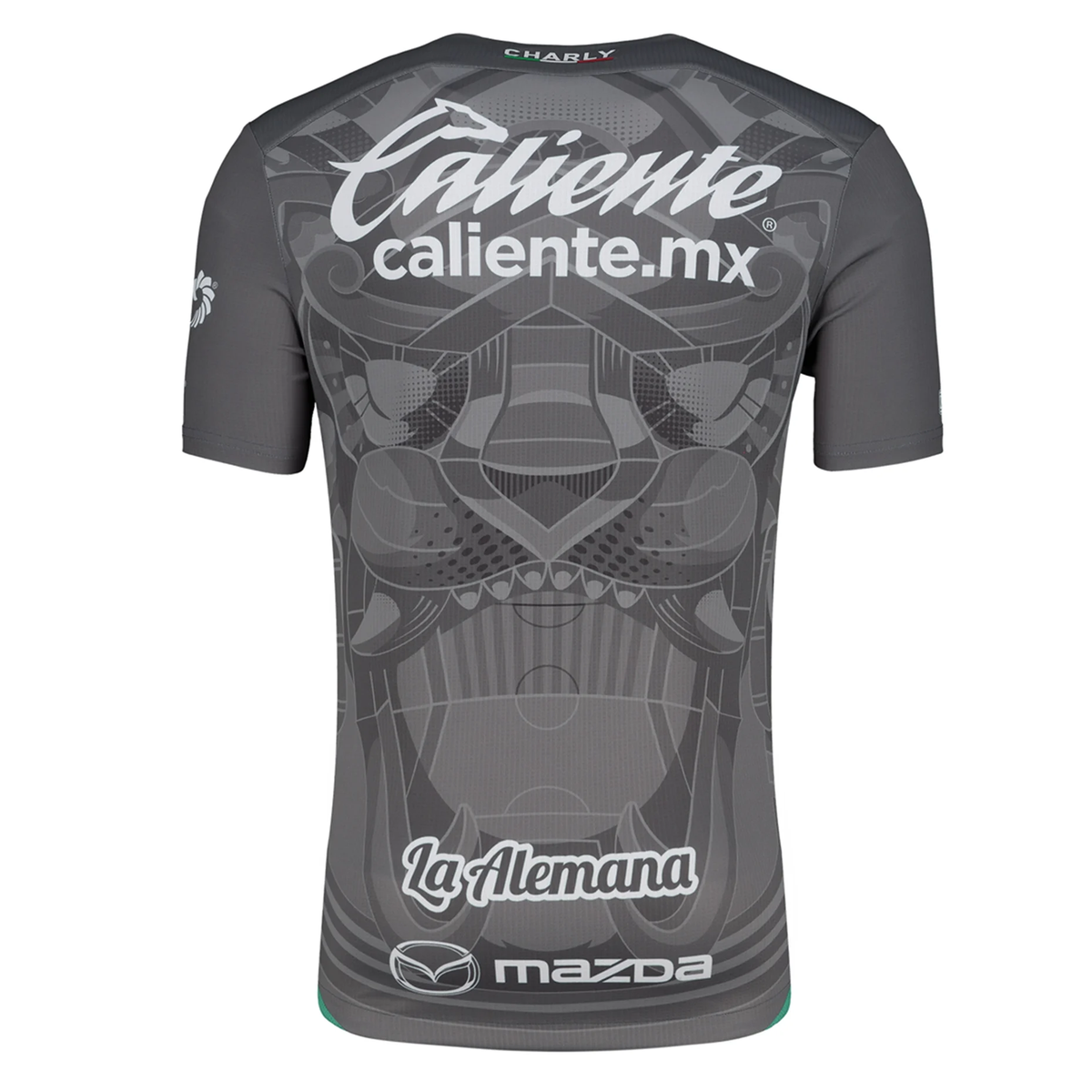 Charly Leon Third Jersey 24/25 (Grey/Green)