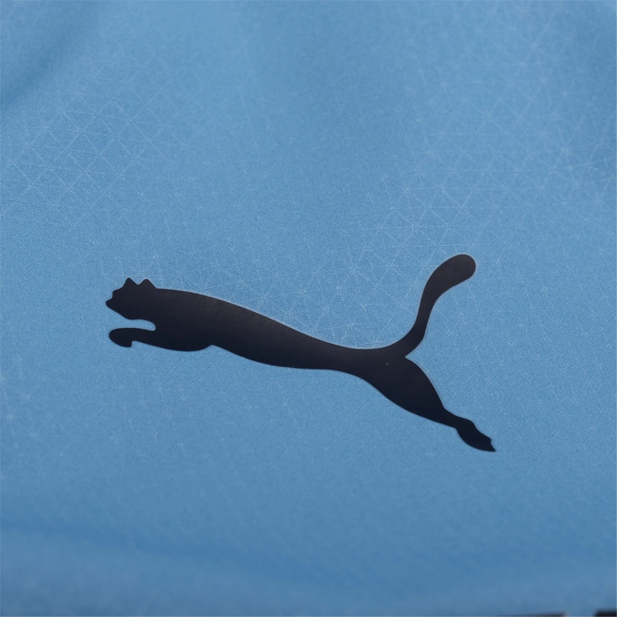 Puma Manchester City Authentic Gvardiol Home Jersey w/ Champions League Patches 25/26 (Team Light Blue/White)