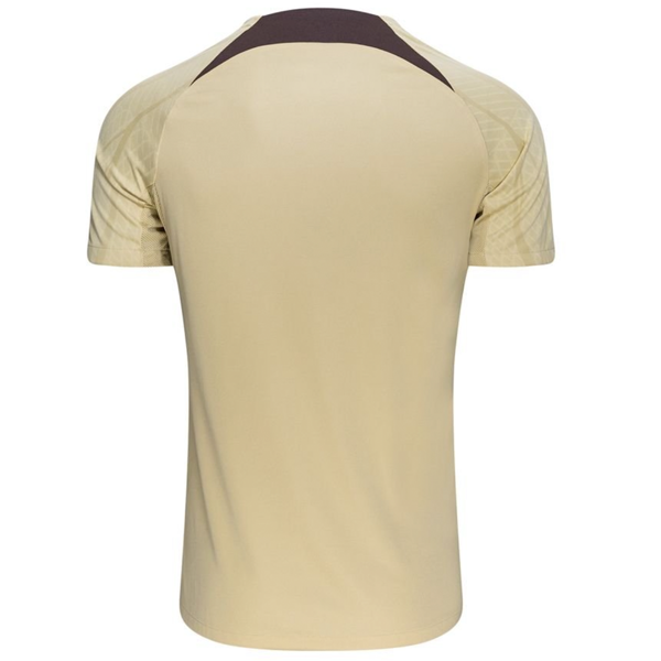 Nike Tottenham Third Strike Training Top Jersey 23/24 (Team Gold/Ironstone)